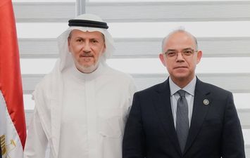 وزير الاستثمار 