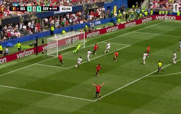 مصطفى شوبير 