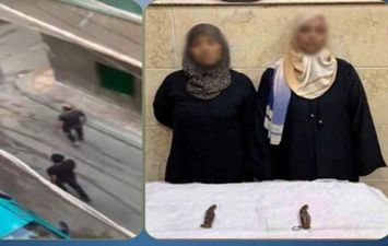 المتهمين 