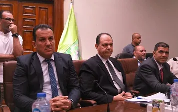 جانب من اللقاء 