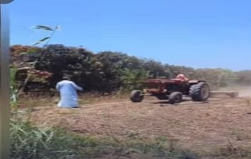 فيديو الاستيلاء على أرض زراعية بكفر الشيخ
