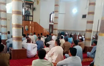 الفاعلية 