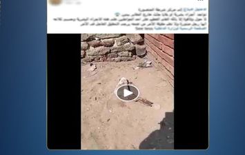 &laquo;قدم بشرية&raquo; بجوار مقابر بالدقهلية