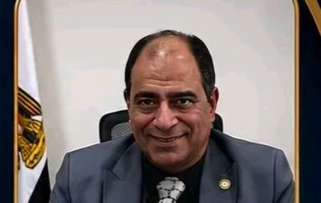 مدير جمرك السويس