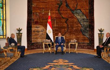 الرئيس السيسي وأحمد أبو الغيط