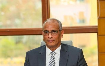 المهندس إبراهيم مكي، محافظ كفر الشيخ 