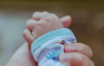 المواليد 