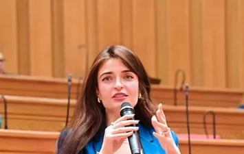 النائبة إيرين سعيد 