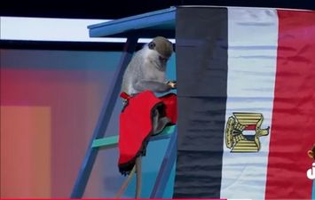 النسناسة سوزي 