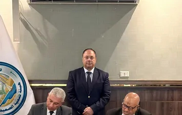 تنمية الصعيد 