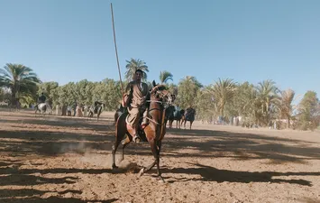 جانب من المرماح