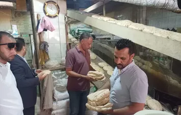 حملة تموينية