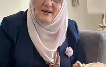 شمس البارودي 
