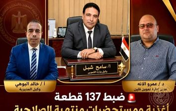 ضبط 137 قطعة أغذية ومستحضرات منتهية الصلاحية في حملة مكبرة بقلين