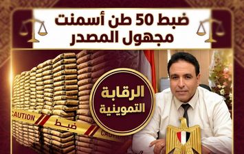 ضبط 50 طن أسمنت مجهول المصدر وسجائر بأزيد من السعر ومخالفات تجارية في حملة ببندر دسوق
