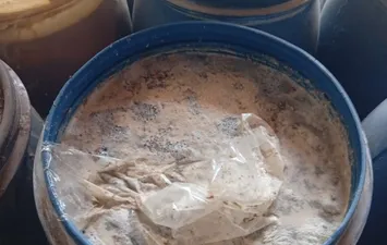 ضبوطات المنوفية 