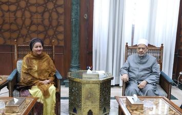 لقاء شيخ الأزهر ونائب أمين الأمم المتحدة