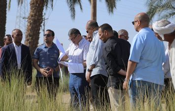محافظ قنا 