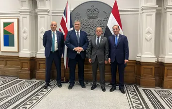 وزير المالية 