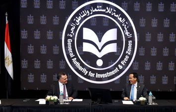 وزيرة الاستثمار 