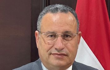 د. عبد العزيز قنصوة وزير التعليم العالي