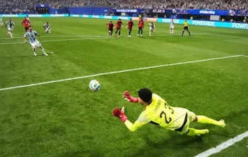 مصطفى شوبير 