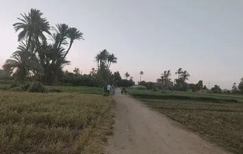 جانب من الطريق 