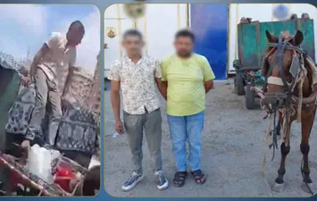  ضبط عاطلين سرقا صندوق قمامة بعربة "كارو" في الإسكندرية