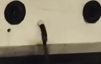 المياه 