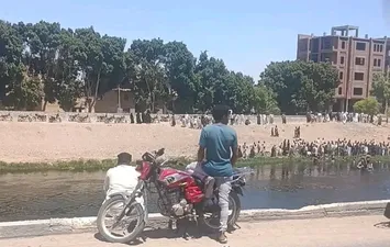 الترعة 