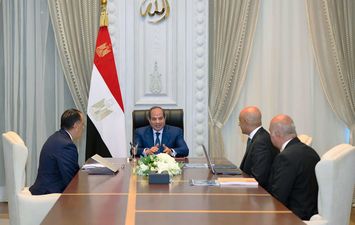 الرئيس السيسي ومدبولي ورئيس الوزراء