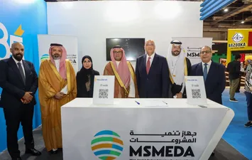 المشروعات