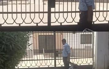 المنوفية 