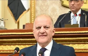 النائب طلعت السويدي 
