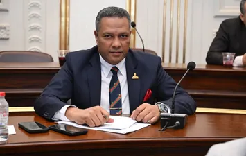 النائب محمد حمزة