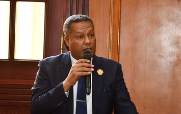 النائب محمد حمزة، عضو مجلس الشيوخ