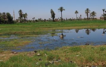 تعديات طرح النيل