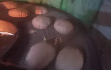 جانب من الحملة 