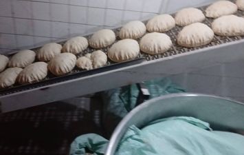 جانب من الحملة 