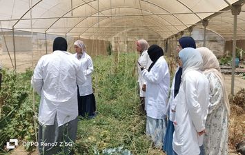 جانب من الدورة التدريبية 
