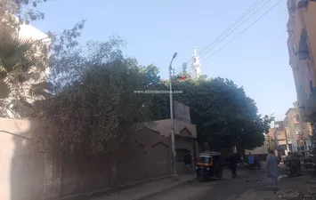 جانب من توافد الطلاب
