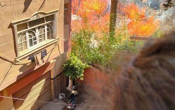 حريق بجوار صدر منوف  