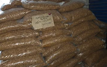 صحة القليوبية