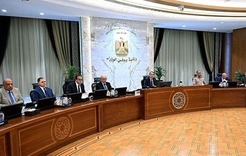 مجلس الوزراء