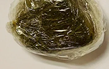 مخدر حشيش