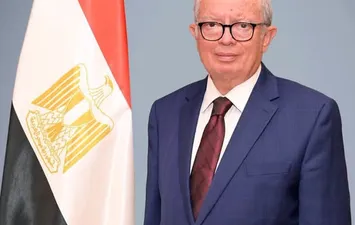 نائب رئيس الوزراء 