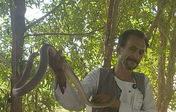 وحيد هاشم مع الافعي الكوبرا 