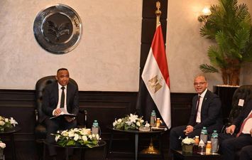 وزير الاستثمار 