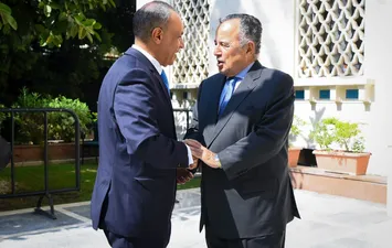 وزير الخارجية ونبيل فهمي