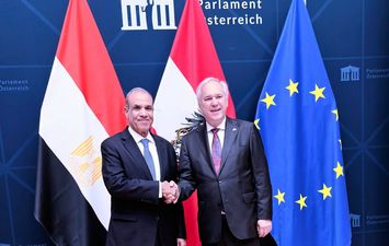 وزير الخارجية يلتقي رئيس البرلمان النمساوي